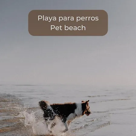 Maracuya Con Piscina, Terraza, Smart Tv, Cocina Completa Y Wifi Κοραλέχο